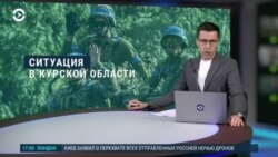 Вечер: бои в Курской области и разборки в Wildberries