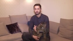 Как кота не пустили в самолет, но он все равно смог улететь